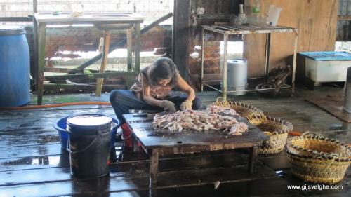 Gijs Velghe | Malaysia