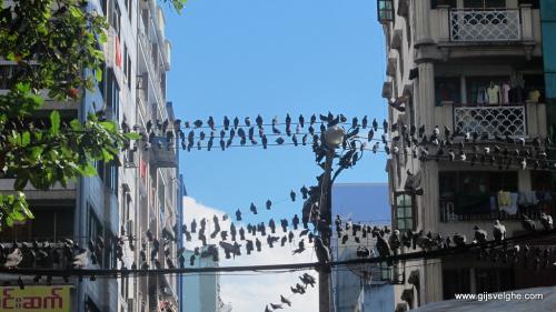 Gijs Velghe | Myanmar